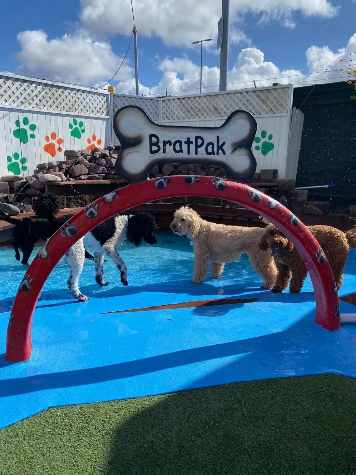 BratPak Livermore pack